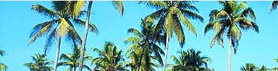 Coconut Lagoon - Kumarakom, Spa Resorts in India