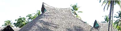 Marari Beach Resort - Mararikulam, Spa Resorts in India