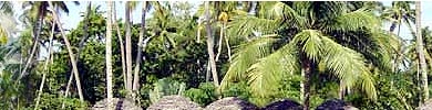 Marari Beach Resort - Mararikulam, Spa Resorts in India