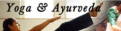 Yoga & Ayurveda